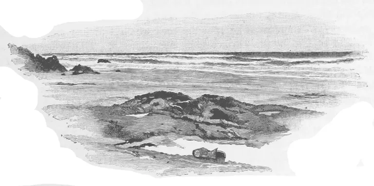 Robinson Crusoe surveying his island