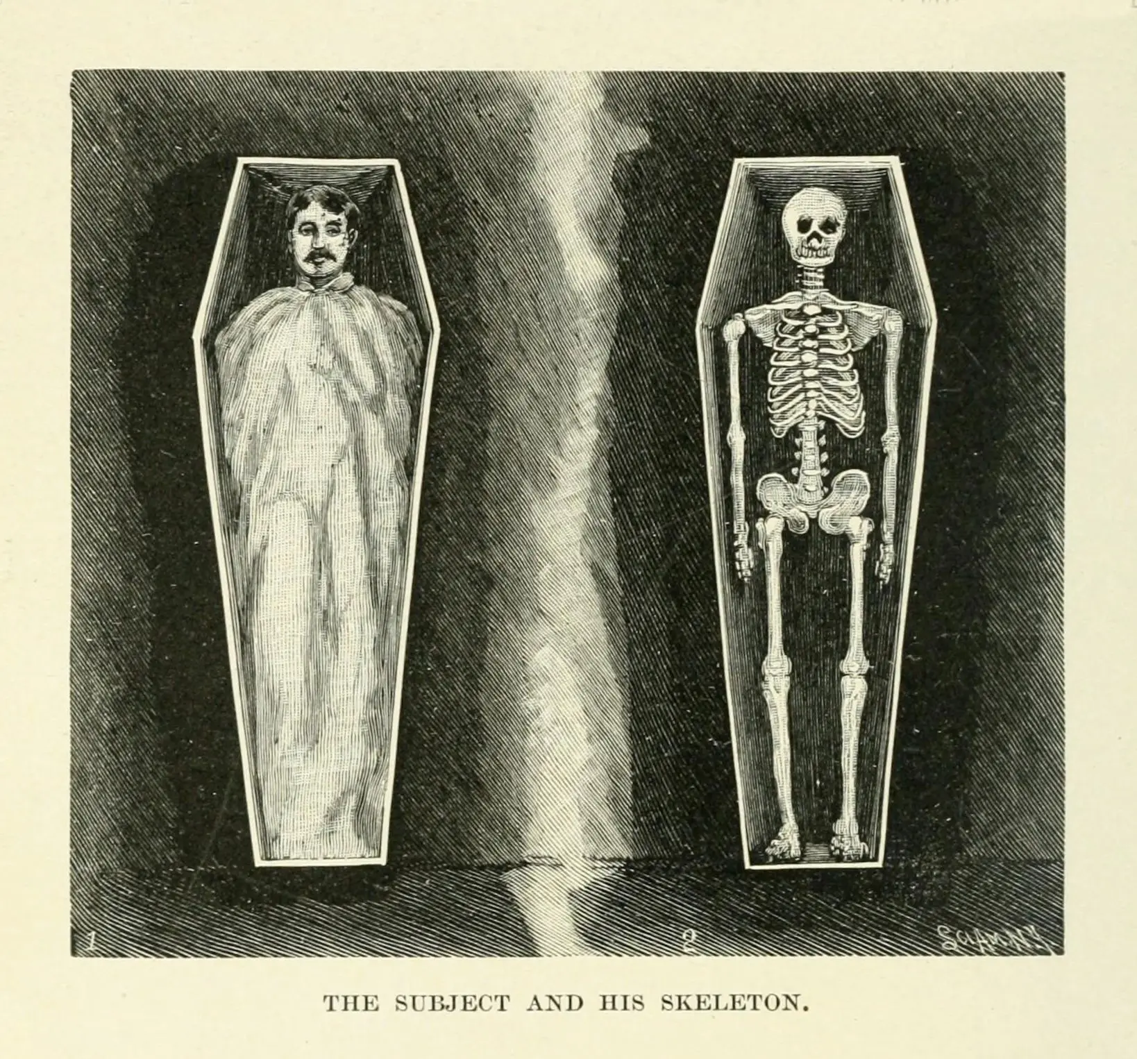 The Subject and His Skeleton, from Magic: Stage Illusions and Scientific Diversions, 1897
